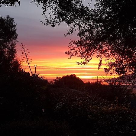 Un Charme Absolu Villa Bastelicaccia Bagian luar foto